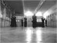 /album/fenykepgaleria/sokan-jpg/